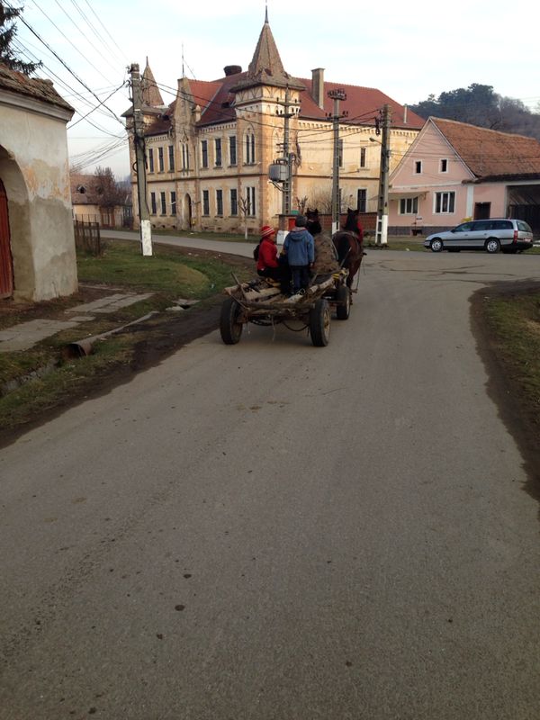 Image 13 of 37  -  84 kB